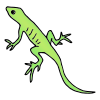 Lizard