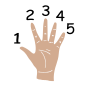 Five