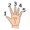 Five