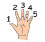 Five