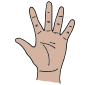 Palm