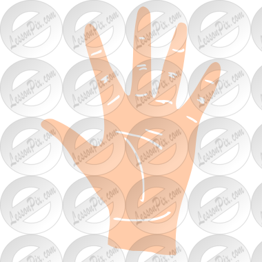 Palm