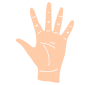 Palm