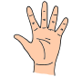 Palm