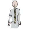 Spine Picture