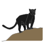 Panther