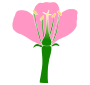 Parts of a Flower