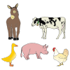 Farm Animals Picture