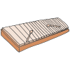 Xylophone
