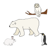 Winter Animals