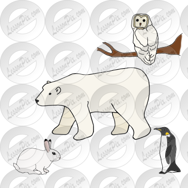 Winter Animals
