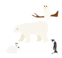 Winter Animals