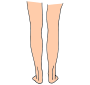 Legs