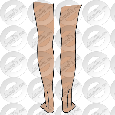 Legs