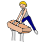 Pommel Horse