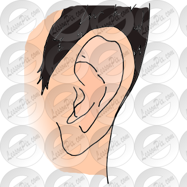 Ear