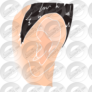 Ear