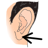 Earlobe Picture