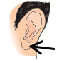 Earlobe Picture