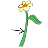 Stem