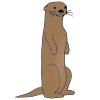 Otter Picture