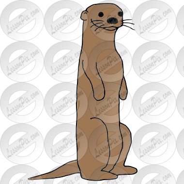 Otter