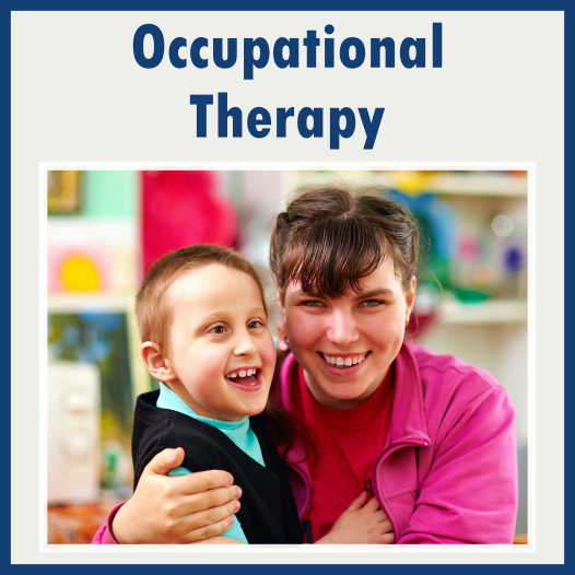 Occupational Therapists