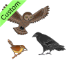 Owl_+Raven+and+Wren Picture