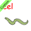 eel Picture