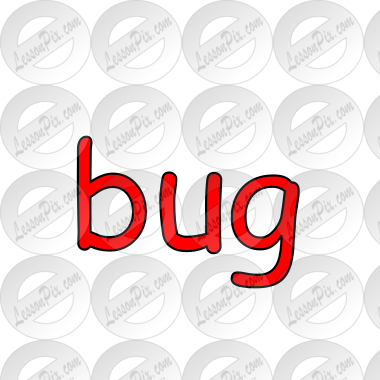 bug Picture