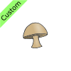 champignon Picture
