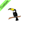 toucan Picture
