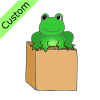 Frog+on+Box Picture