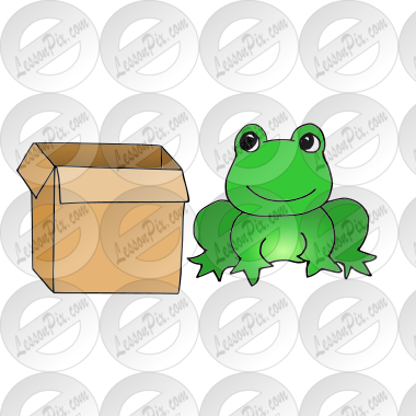 Frog by Box Picture