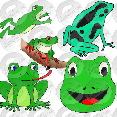 Five frogs Picture