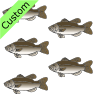 five fat fish